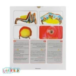 استخر بازی سوواندا مدل 113